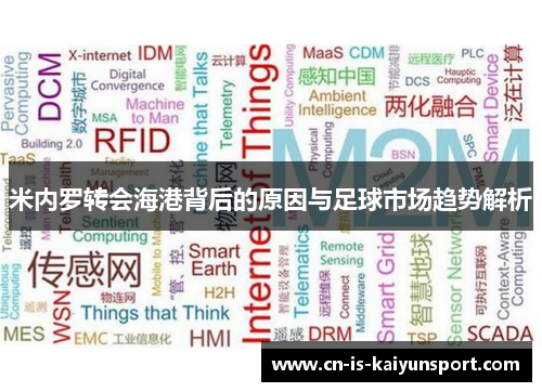 米内罗转会海港背后的原因与足球市场趋势解析 米内罗转会海港背后的原因与足球市场趋势解析